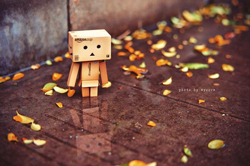 3093409994068100988.jpg 3093409994068100988.jpg